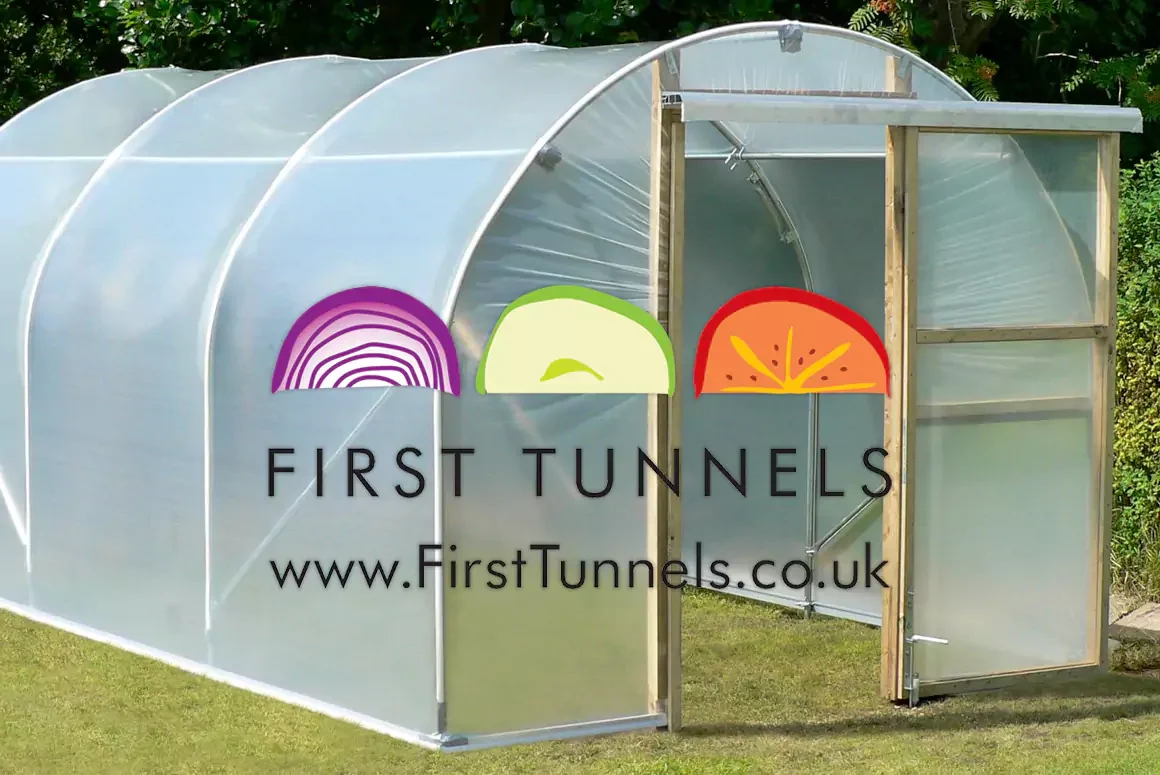 First Tunnels