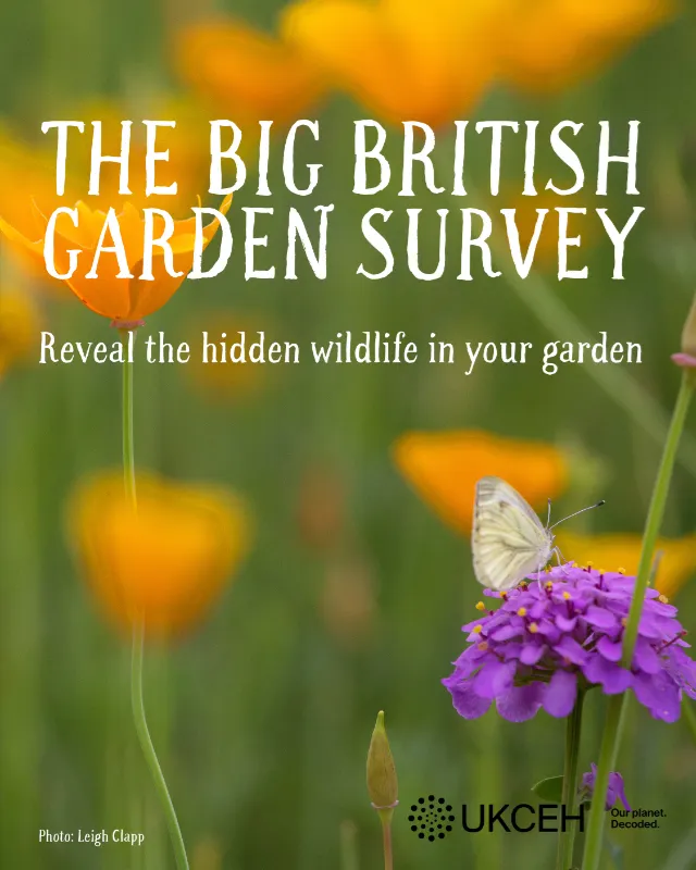 The Big British Garden Survey