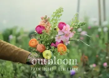 Outbloom Flowers by Post