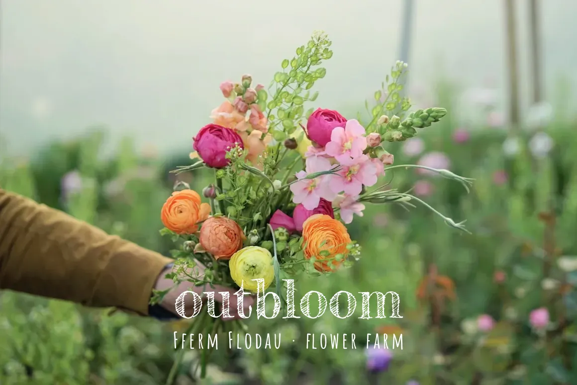 Outbloom Flowers by Post