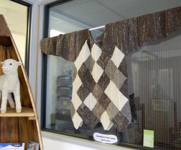 Rediscovering the Value of “Worthless” Welsh Mountain Wool Rediscovering the Value of “Worthless” Welsh Mountain Wool
