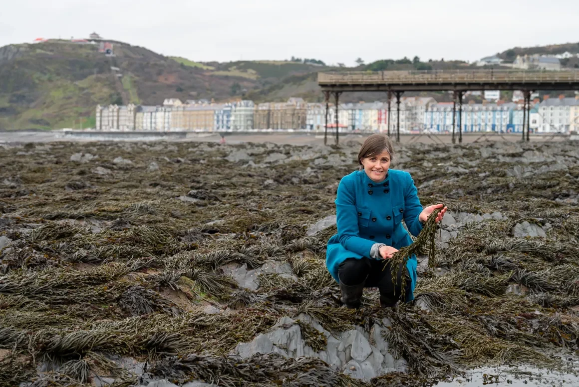 New Seaweed Plastic Developed to Package Food New Seaweed Plastic Developed to Package Food