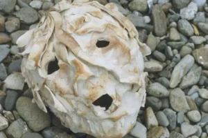 The Stones Cry Out – Dorothy Morris