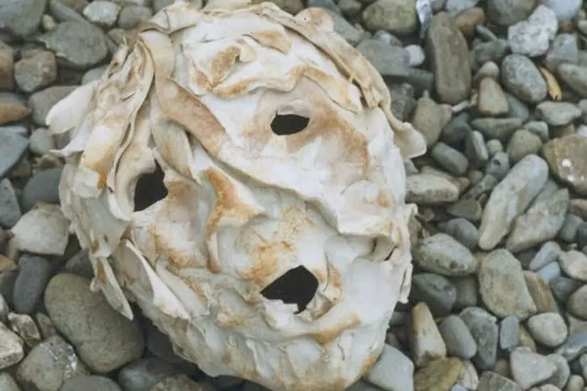 The Stones Cry Out – Dorothy Morris