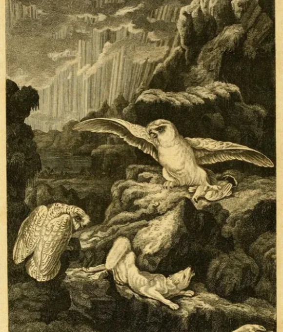 Festival to Celebrate 300th Anniversary of Welsh Naturalist Festival to Celebrate 300th Anniversary of Welsh Naturalist