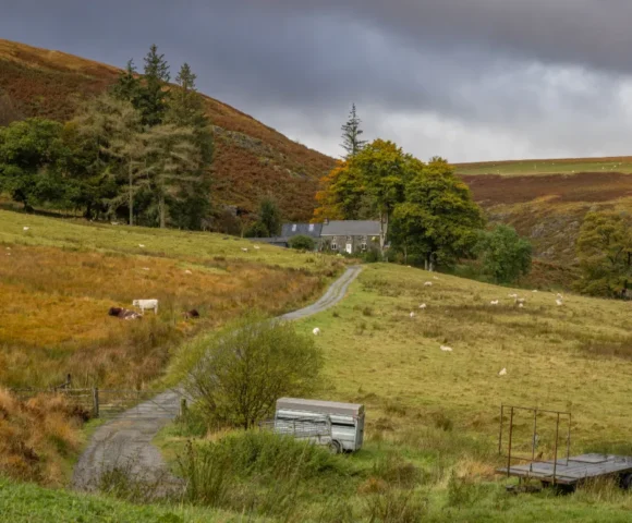 Elan Valley Wildfires Elan Valley Wildfires