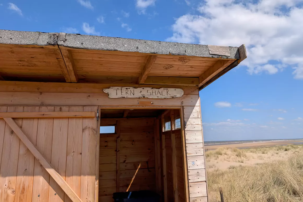 Famous Bird Colony Ready to Receive Arrivals