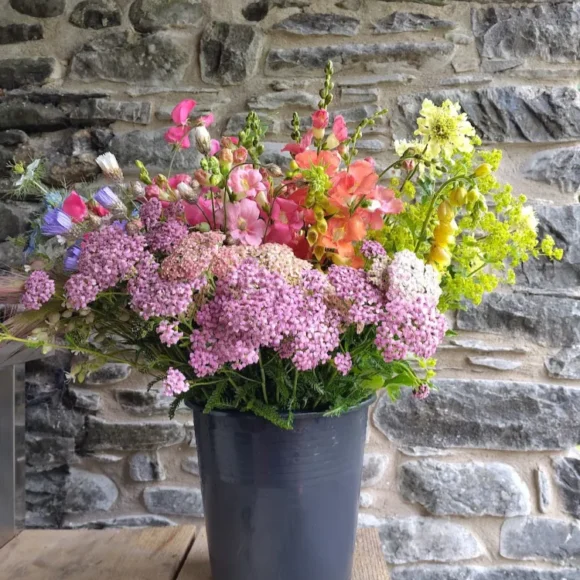 Outbloom Field to Vase Workshops