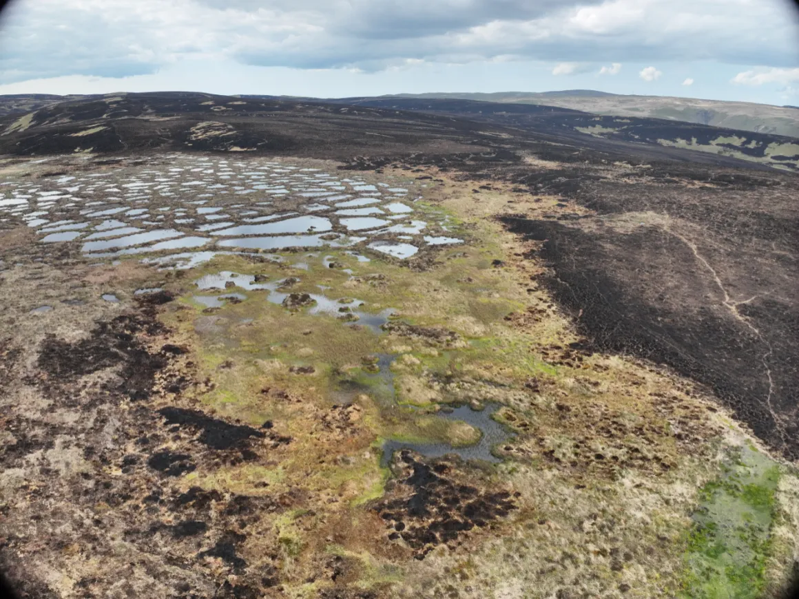 Elan Valley Wildfires