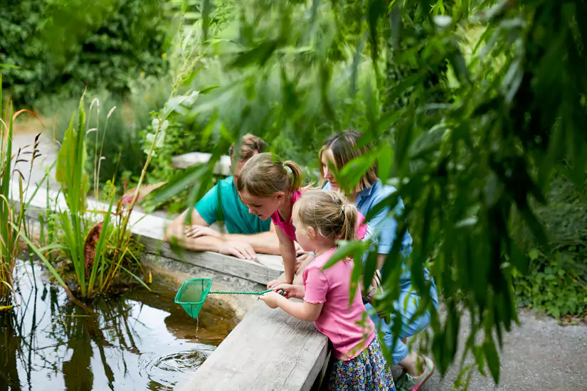 Dragonfly Festival | WWT Llanelli Wetland Centre