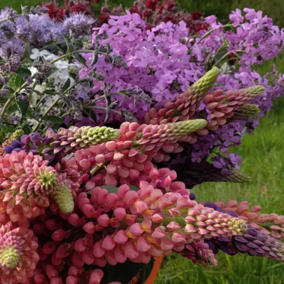 Outbloom Field to Vase Workshops