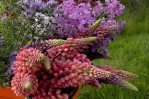 Field to Vase Morning | Outbloom Flower Farm