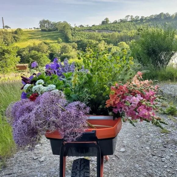 Outbloom Field to Vase Workshops