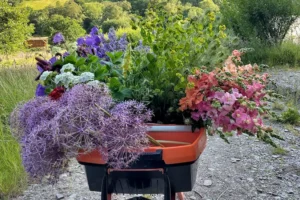 Field to Vase Morning | Outbloom Flower Farm