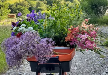 Field to Vase Morning | Outbloom Flower Farm
