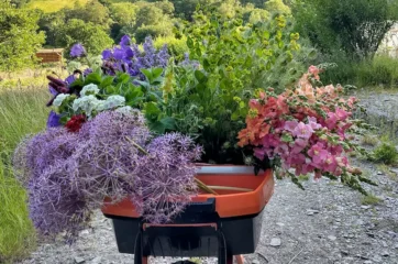 Field to Vase Morning | Outbloom Flower Farm