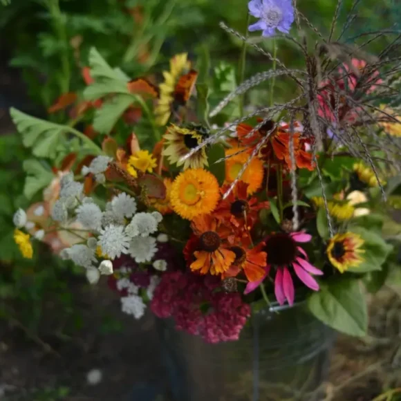 Outbloom Field to Vase Workshops
