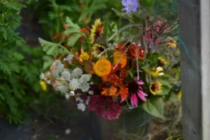 Field to Vase Morning | Outbloom Flower Farm