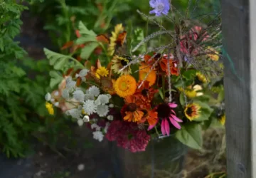 Field to Vase Morning | Outbloom Flower Farm