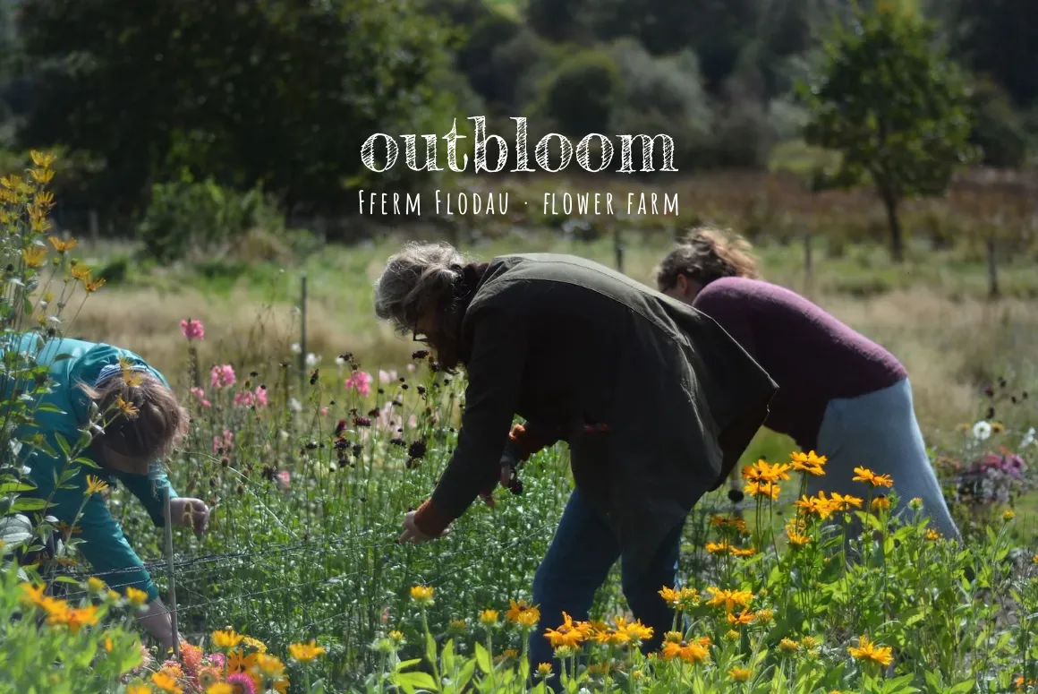 Outbloom Field to Vase Workshops