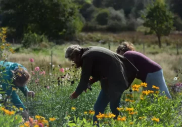 Field to Vase Morning | Outbloom Flower Farm