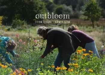 Outbloom Field to Vase Workshops Outbloom Field to Vase Workshops