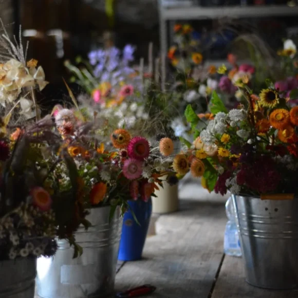 Outbloom Field to Vase Workshops