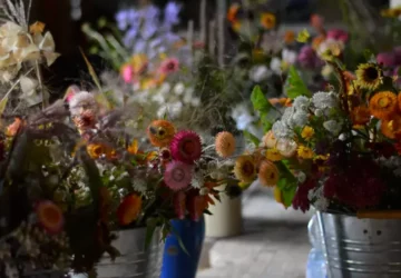 Field to Vase Morning | Outbloom Flower Farm