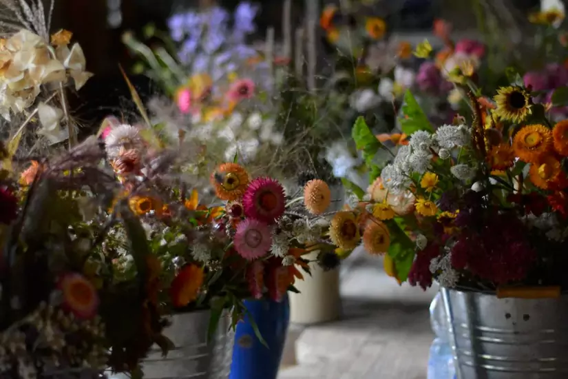Field to Vase Morning | Outbloom Flower Farm