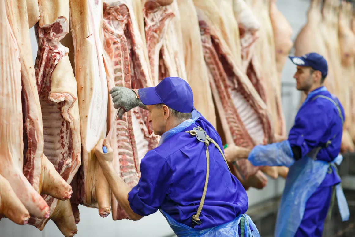 Welsh Abattoirs Will Have Fairer Charges
