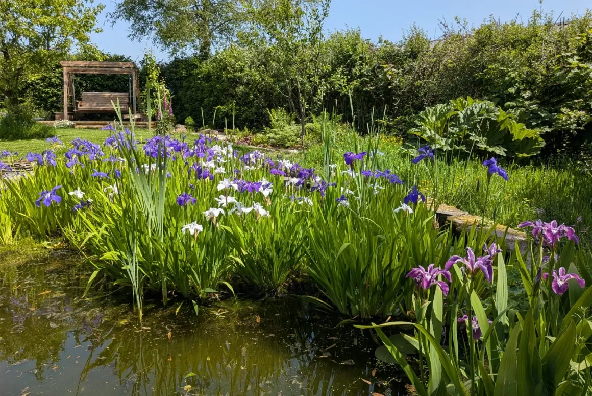 The High Summer Garden 2026 Laswern Farm