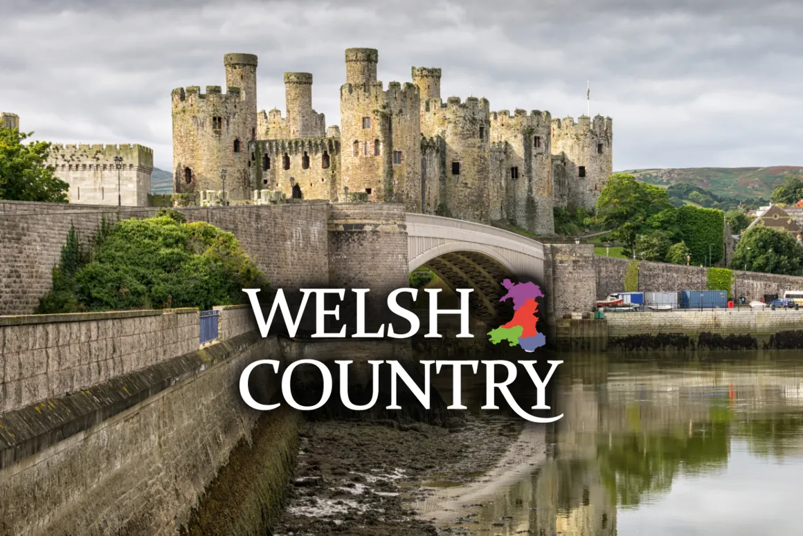 News Bites from Welsh Country - June 26