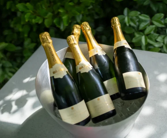 Twr y Felin Hotel Celebrated 10 Years with Summer Garden Party