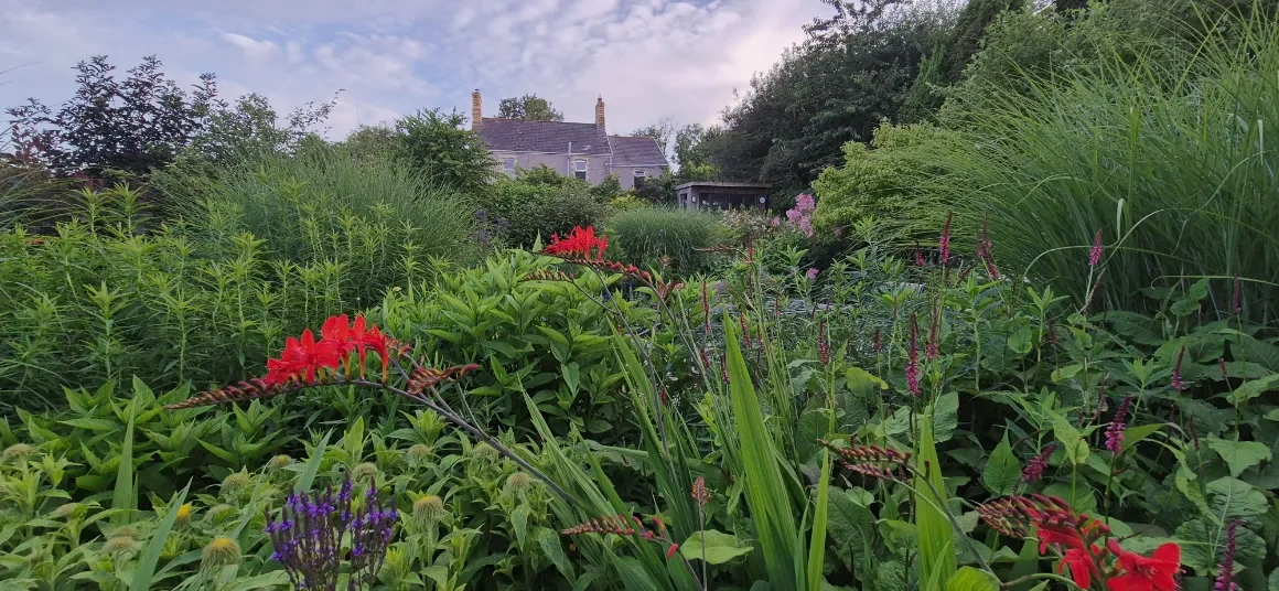 The High Summer Garden 2026 Yew Tree Cottage