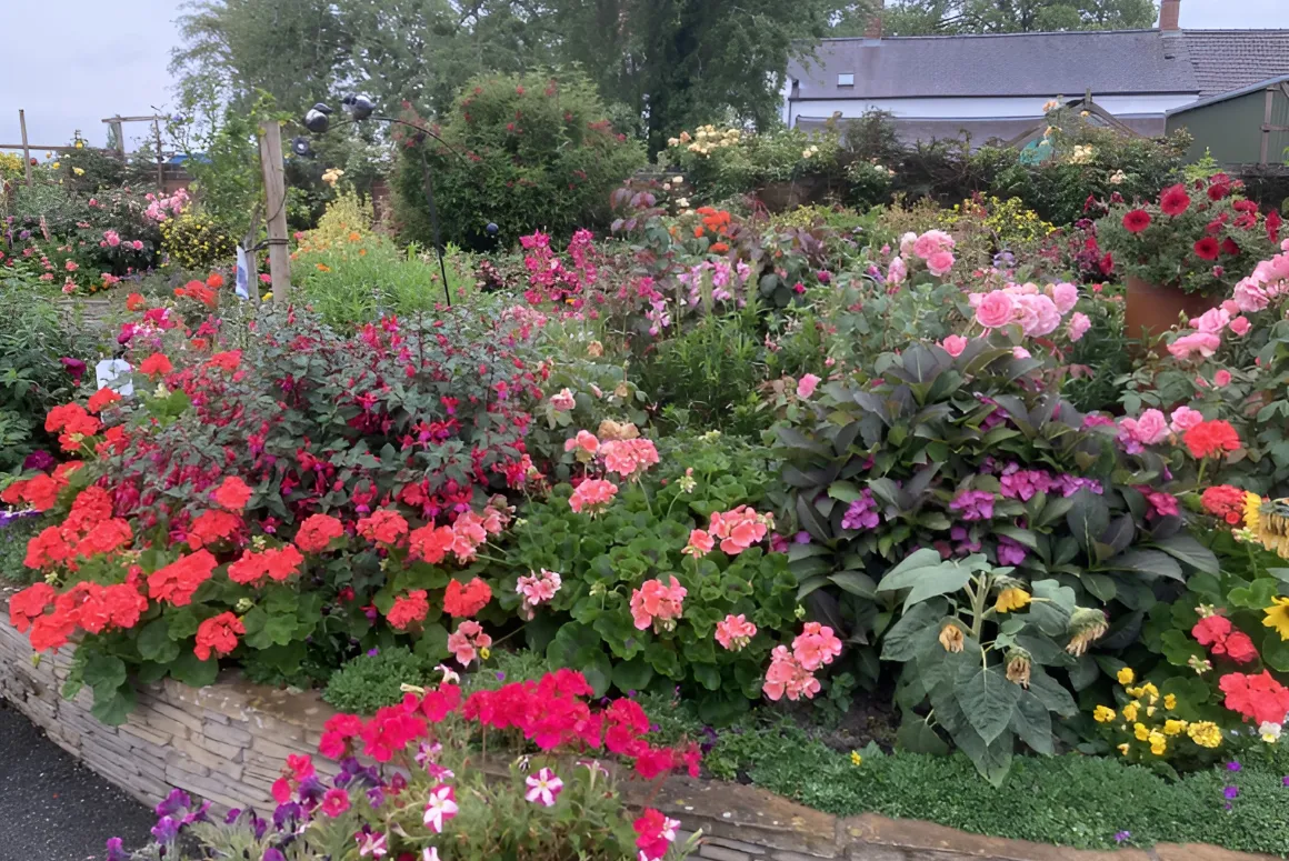 Eves Garden