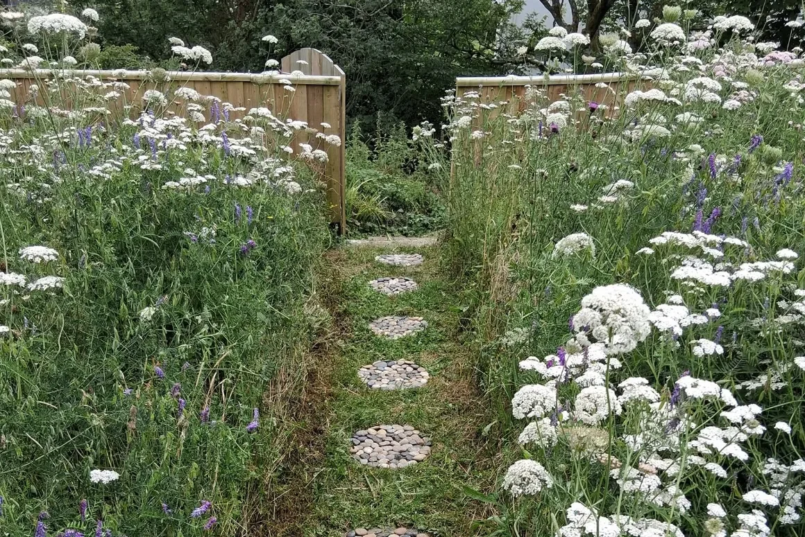 Meadow Creations, Creating Wildflower Spaces