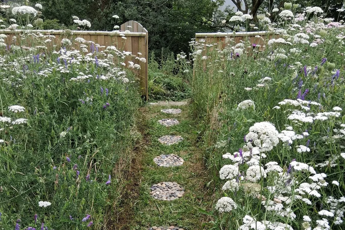 Meadow Creations, Creating Wildflower Spaces