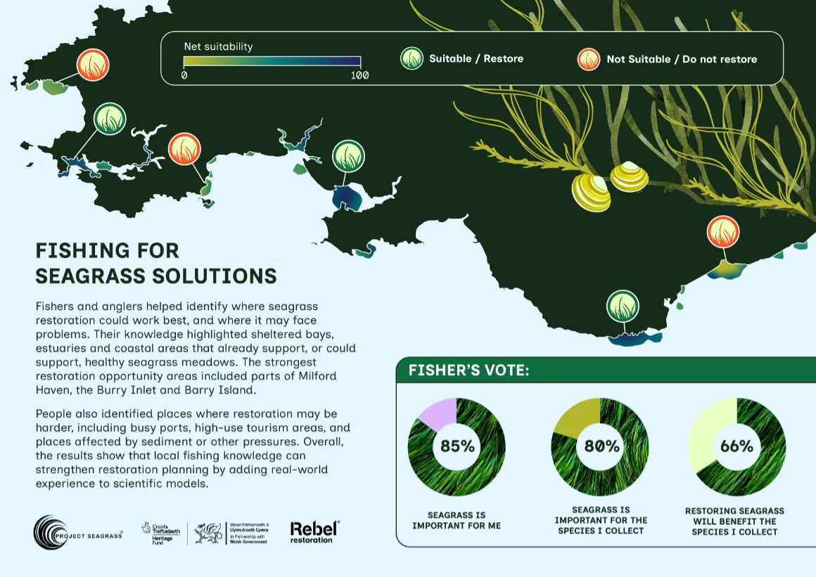 Fishers, Knowledge Helps Identify Seagrass Restoration Sites