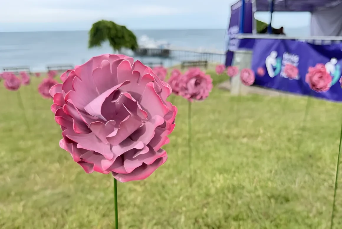 Memories Meadow Raises Over £10,000 for Local Hospice Care