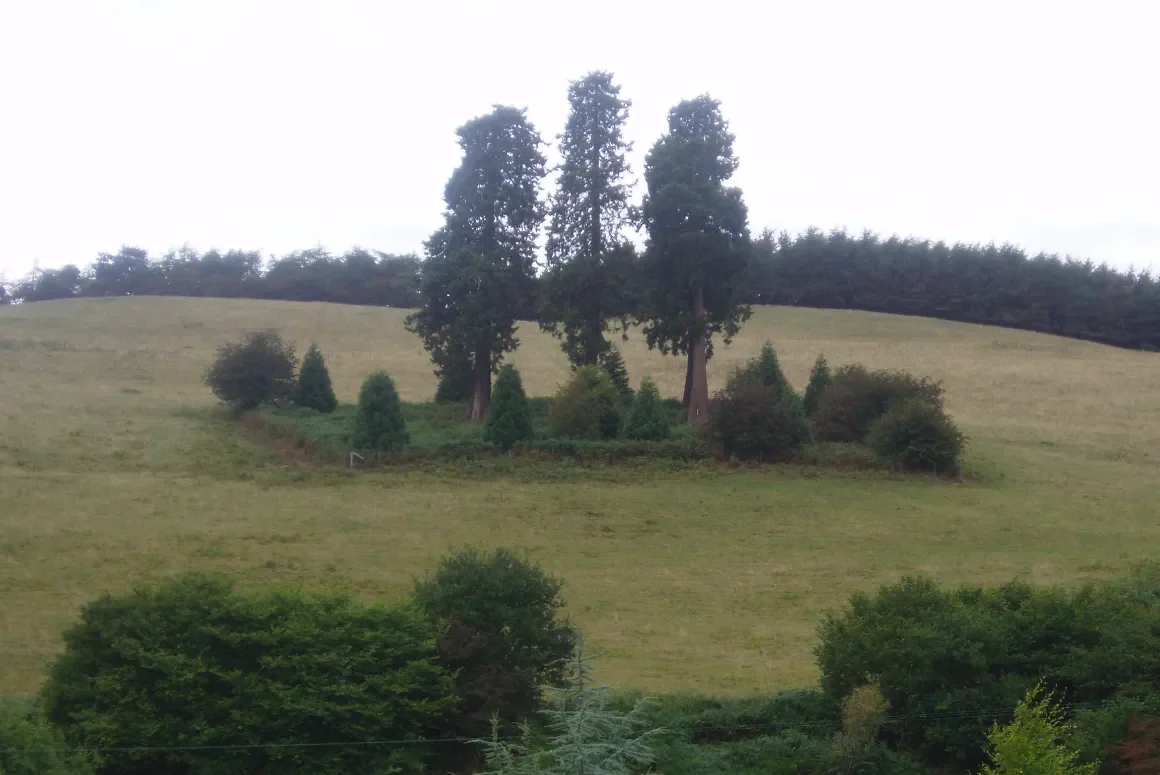 The Battle of Pilleth