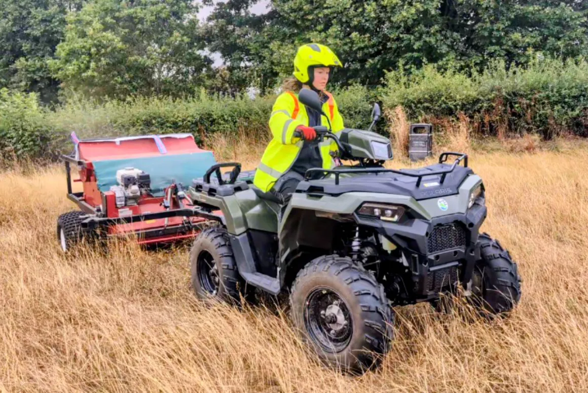 Wildflower Seed Harvest to Help Nature Flourish