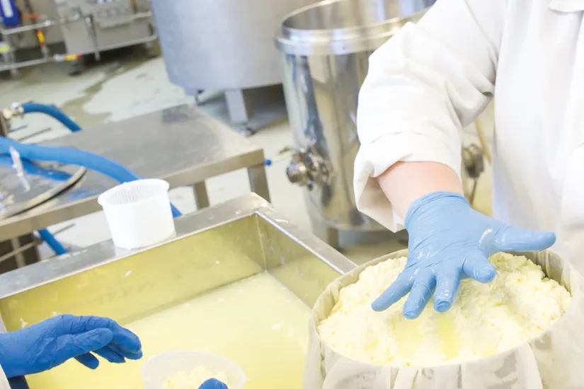 Strengthening Your Defences Against Food Crime