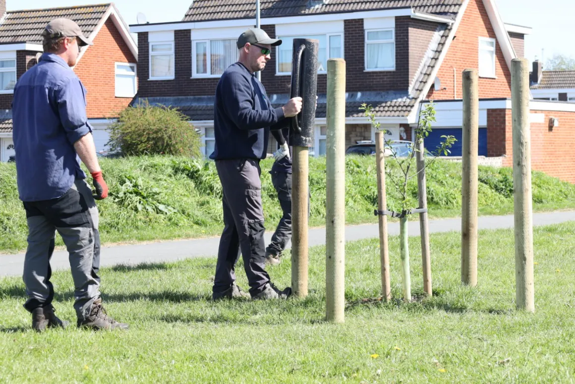 Group Creates Protection for Newly Planted Community Trees