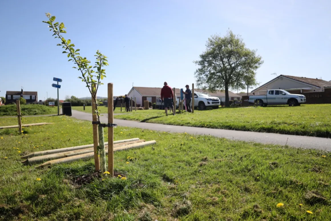 Group Creates Protection for Newly Planted Community Trees