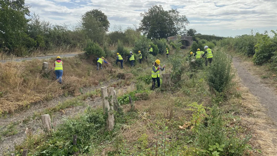 Stumps revealed, helped by Agilent volunteers