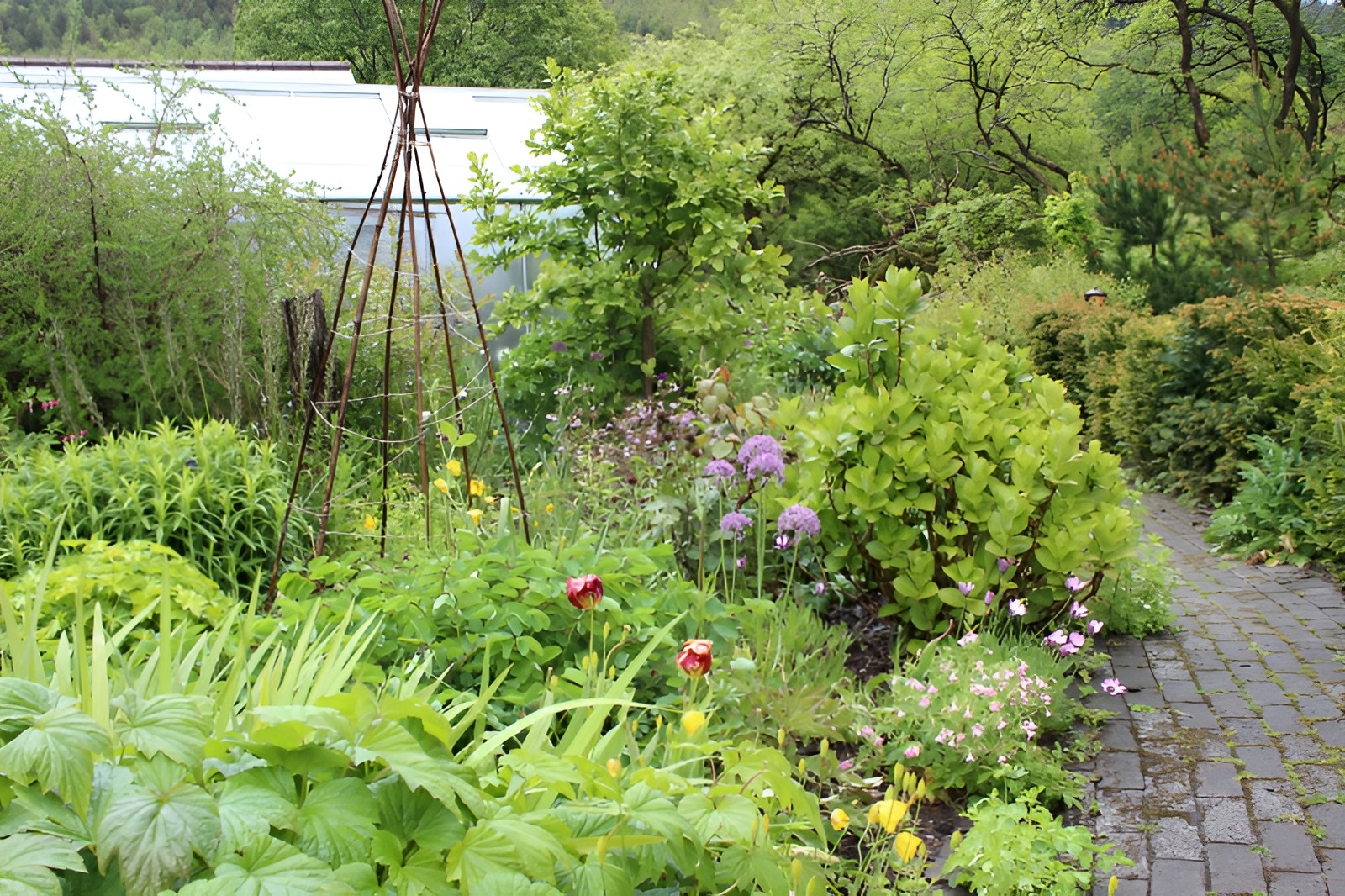 Blaen-Cwmdu Farm, Maesteg