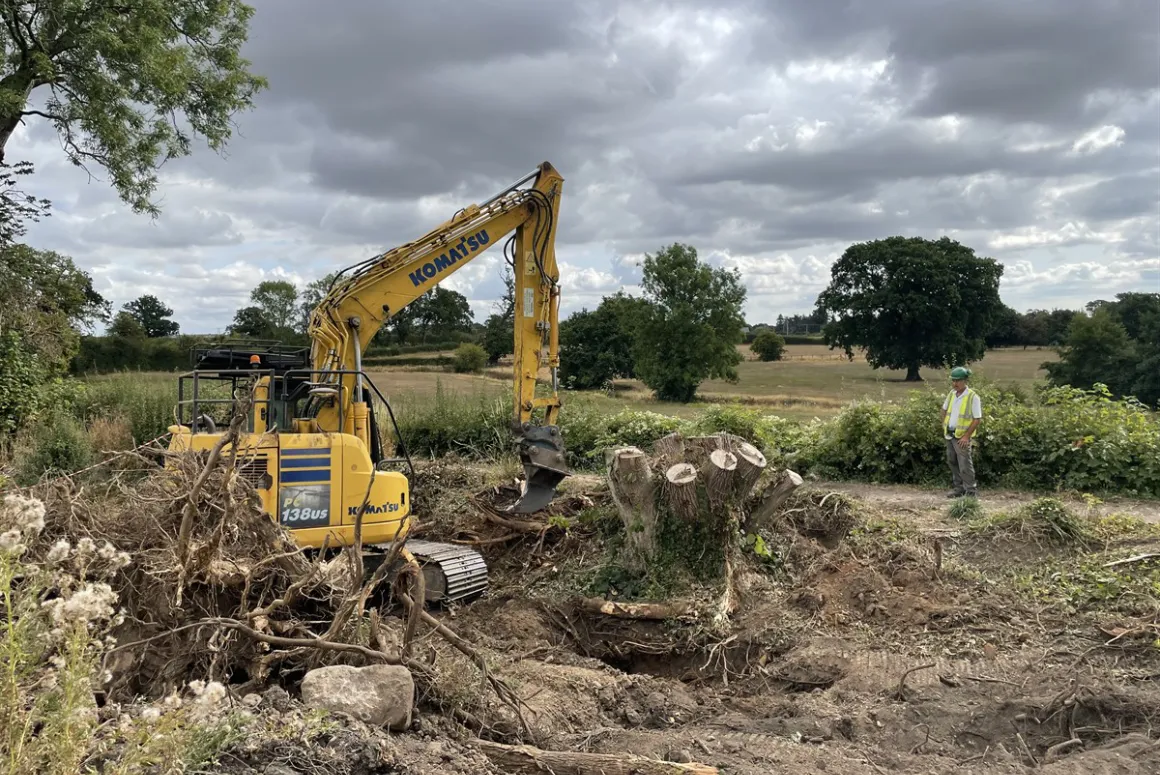 Stumps being removed
