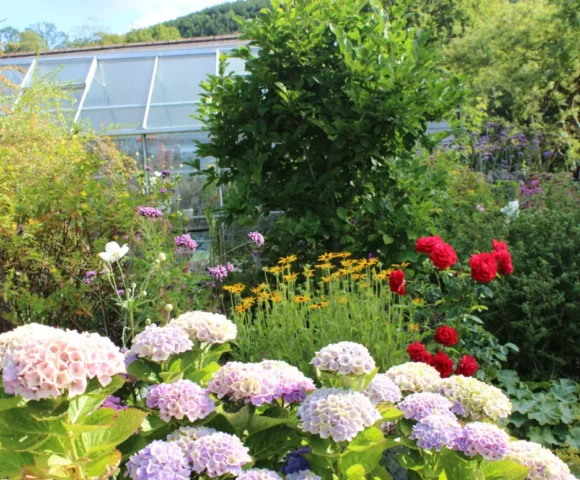 Blaen-Cwmdu Farm Blaen-Cwmdu Farm
