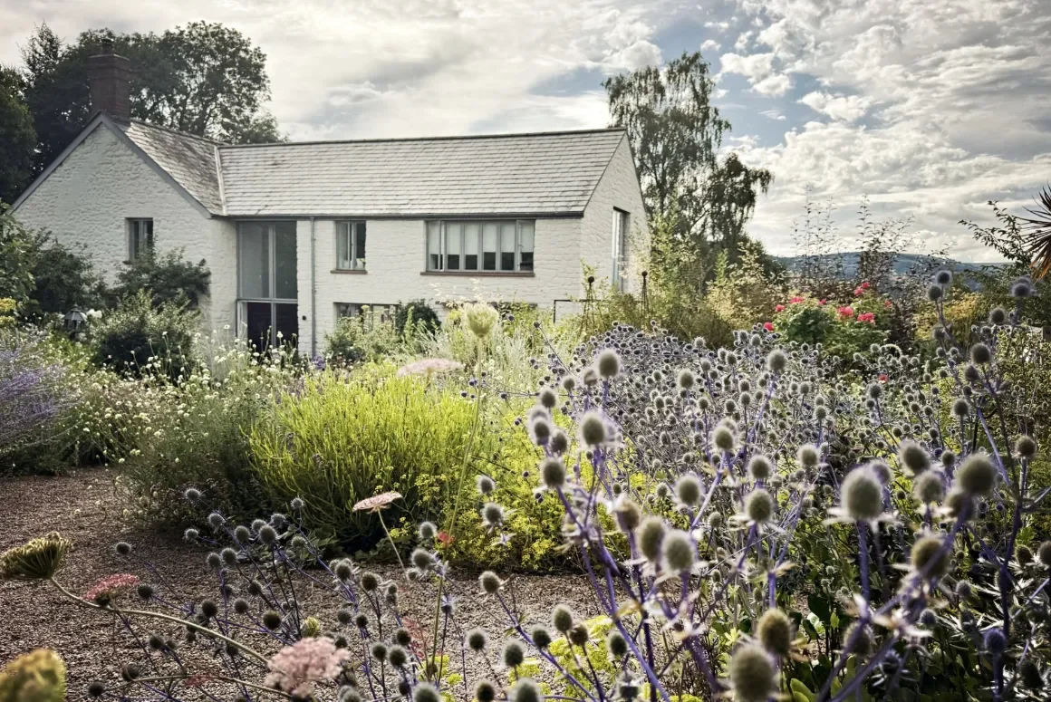 The Late Summer Garden 2026 Highfield Farm