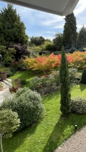 The Late Summer Garden 2026 Highfield Farm